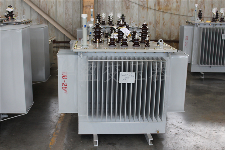 六盘水S20-800kVA/10kV/0.4kV变压器